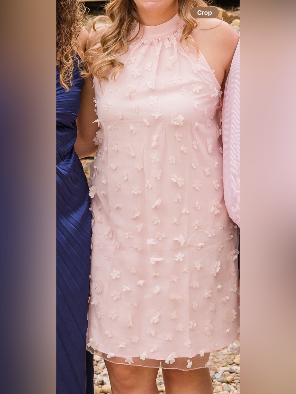 Women's Blush Pink Appliqué  Dress